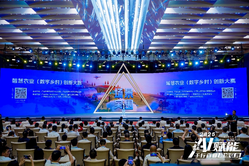 賽事介紹。主辦方供圖